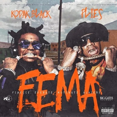 F.E.M.A 专辑 Kodak Black