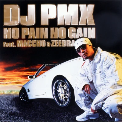 NO PAIN NO GAIN 专辑 環ROY/ZEEBRA/Coma-Chi/ICE BAHN/B.D