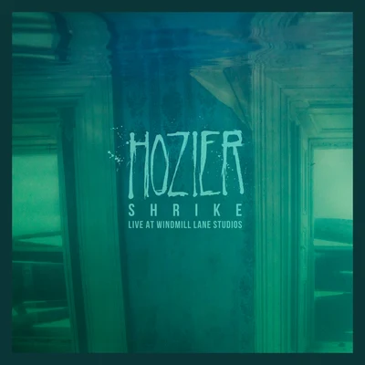 Hozier Shrike (Live At Windmill Lane Studios)