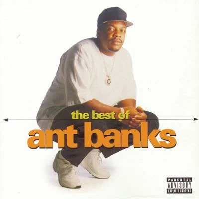 The Best Of Ant Banks 專輯 Ant Banks