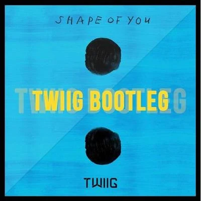 TWIIG Shape Of You (TWIIG Bootleg)