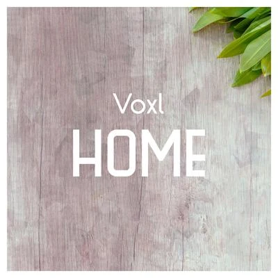 Home 专辑 Voxl