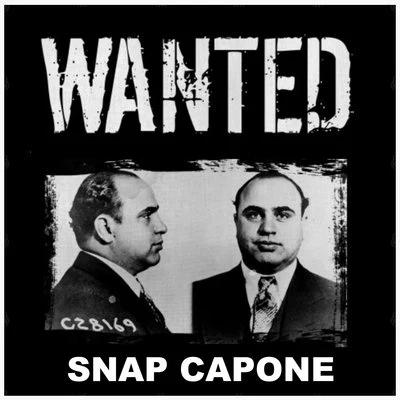 Wanted 专辑 Snap Capone/1st Born/Stardom