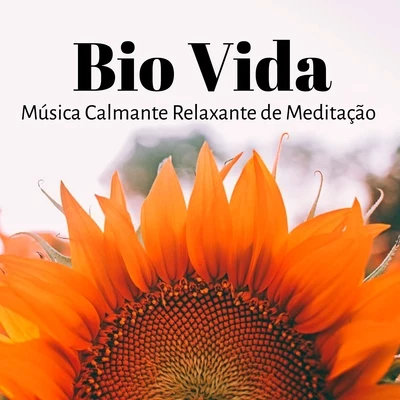 Bio Vida - Música Calmante Relaxante de Meditação Chakras para Ocasião Especial Treinamento Mental Sonhos Lúcidos com Sons da Natureza Instrumentais N 专辑 Alma