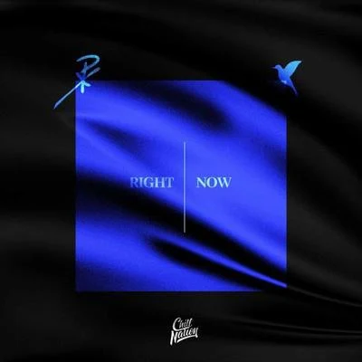 Right Now 專輯 Nurko/Morgan Page/Pex L