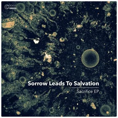 Sacrifice 專輯 Sorrow Leads to Salvation/CMA/Synthetic Epiphany/John Palmer/tiiiza