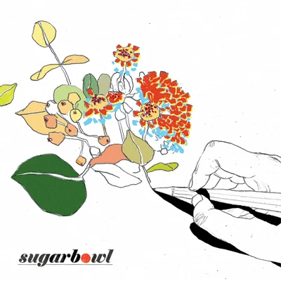 오늘 밤 专辑 Soulights/Sugarbowl