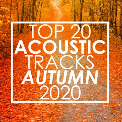 Top 20 Acoustic Tracks Autumn 2020 (Instrumental) 专辑 Guitar Tribute Players