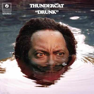 Thundercat Friend Zone