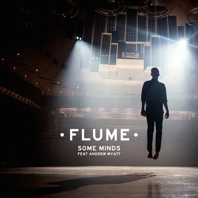 Some Minds 专辑 Flume