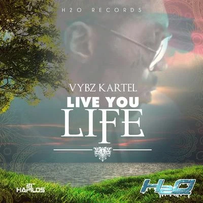 Vybz Kartel Live You Life