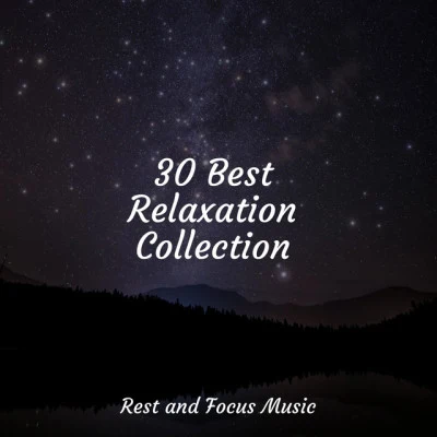 Sounds of Nature White Noise Sound EffectsTranquility Spa UniverseAmbient Music Therapy 30 Best Relaxation Collection