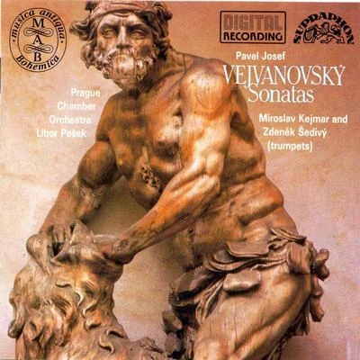 Vejvanovsky: Sonatas and Serenades 专辑 Miroslav Kejmar