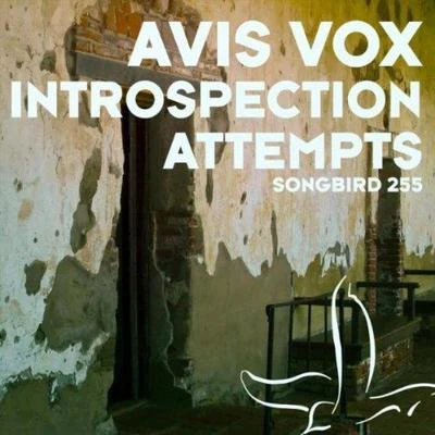 Avis Vox Introspection Attempts