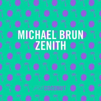 Zenith 專輯 Michael Brun