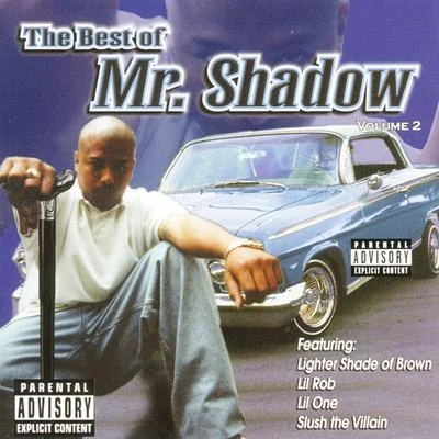 The Best of Volume 2 專輯 Mr. Shadow/Nino Brown/Bad Boy