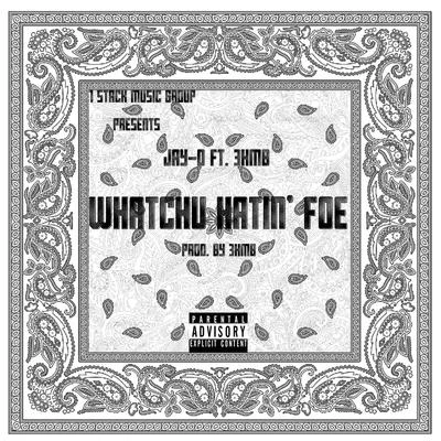 Whatchu Hatin&#x27; Foe 专辑 Jay-D/Lil't