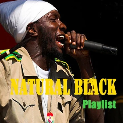 Natural Black : Playlist 专辑 Natural Black