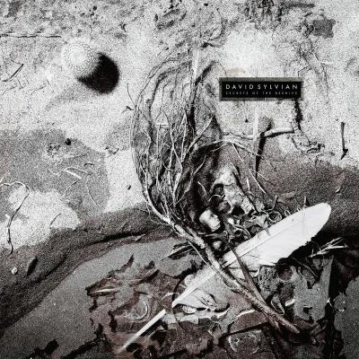 Secrets Of The Beehive (Remastered 2003) 專輯 David Sylvian