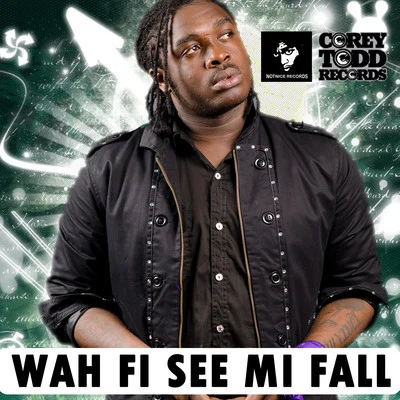 Jah Vinci Wah Fi See Mi Fall