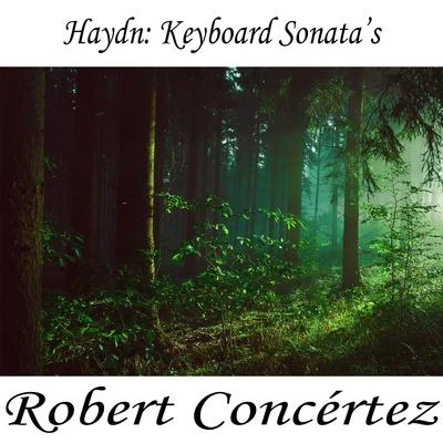 Haydn: Keyboard Sonatas 專輯 Franz Joseph Haydn