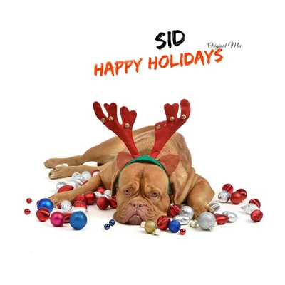 SID Happy Holidays