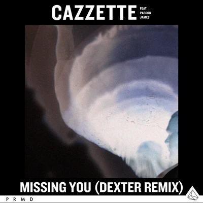 CAZZETTEShawnee Taylor Missing You (Dexter Remix)