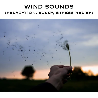 Wind Sounds (Relaxation, Sleep, Stress Relief) 專輯 White Noise Radiance/White Noise Relaxation/White Noise Research