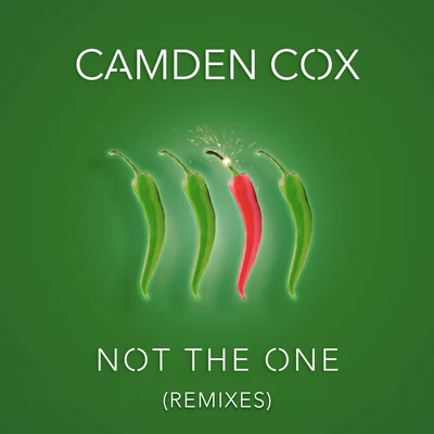 Not the One (Remixes) 專輯 Camden Cox/Embody