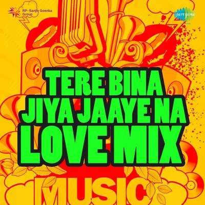 Tere Bina Jiya Jaaye Na Love Mix 专辑 Udit Narayan