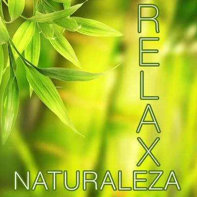 Naturaleza Relax - Las Mejores Músicas Relajantes para Meditación, Clases de Yoga, Reiki, Spa, Salones de Belleza y para Lograr la Paz y la Tranquilid 專輯 Radio Musica Clasica/Musica de Piano Escuela