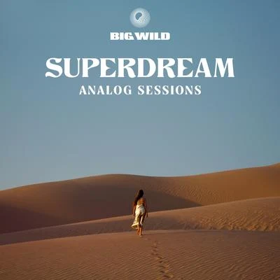 No Words (Analog Sessions) 專輯 Big Wild