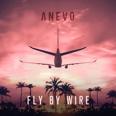 Fly by Wire 專輯 Anevo