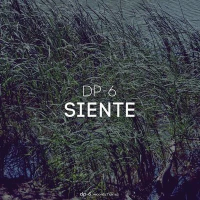 Siente 專輯 DP-6