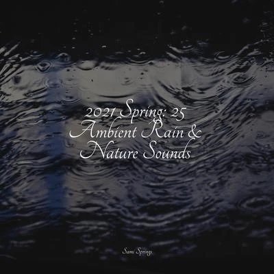 RelaxamentoMúsica Zen RelaxanteOcean Sounds 2021 Spring: 25 Ambient Rain & Nature Sounds