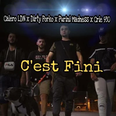 Cest Fini 專輯 Purini Madness