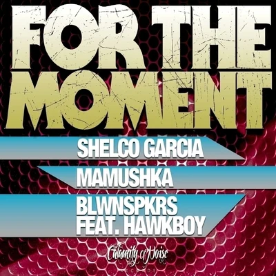 For The Moment (feat. HawkBoy) - Single 專輯 Shelco Garcia