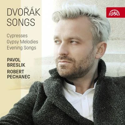 Dvořák: Songs - Cypresses, Evening Songs, Gypsy Songs 专辑 Mass Text/Anke Vondung/Andreas Reiner/KlangVerwaltung Chamber Choir/KlangVerwaltung Orchestra