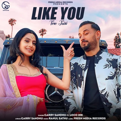 Like You (Tere Jaisi) 专辑 Garry Sandhu/Pav Dharia