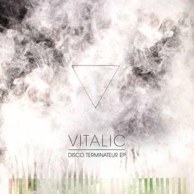 Disco Terminateur 专辑 Vitalic