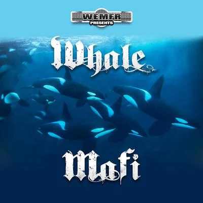 Whale Mafi 專輯 Baby J/Rich The Factor/Mak Billion