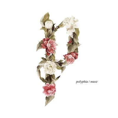 Muse 專輯 Polyphia