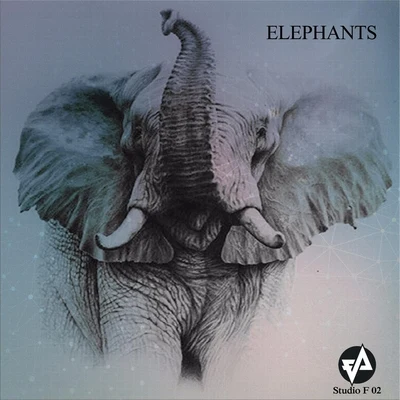 Elephants 专辑 Bruno Marangoni/Eduardo Drumn/Fabiano Alves/Lukas Felt/Felipe Sosa