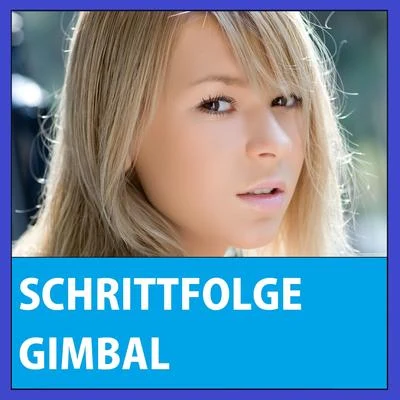 Schrittfolge 專輯 Gimbal