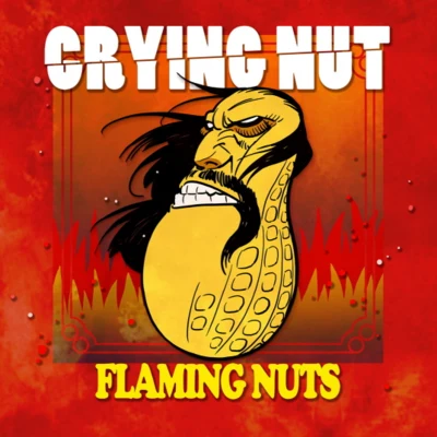 7집 FLAMING NUTS 专辑 Crying Nut/B.I