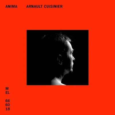 Anima 專輯 Guillaume De Chassy