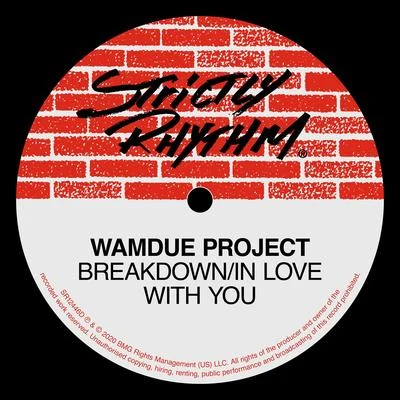 BreakdownIn Love With You (Remixes) 專輯 Wamdue Project