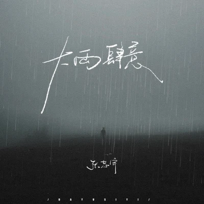 大雨肆意 专辑 张志宇