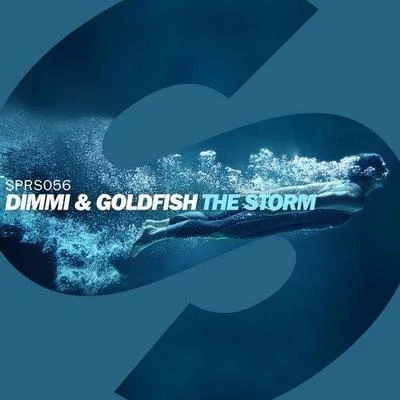 The Storm 專輯 Diamond Thug/GoldFish/Robbie Rivera