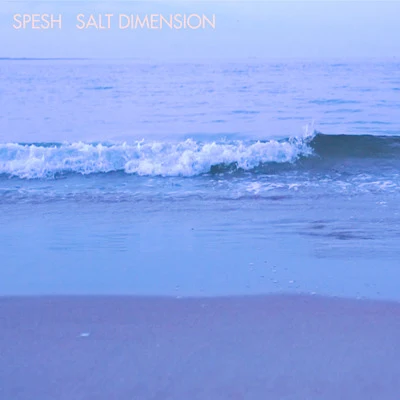 Salt Dimension 專輯 Spesh